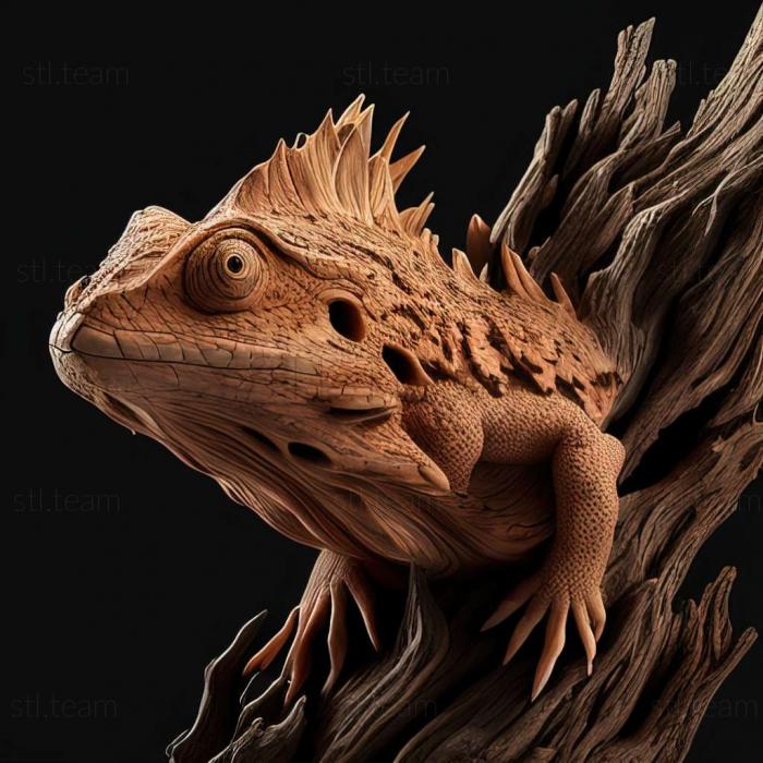 3D model Euryopis campestrata (STL)